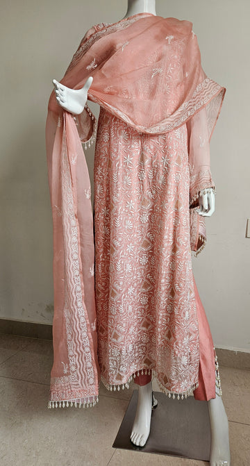 Pure Organza Ready to wear Suit