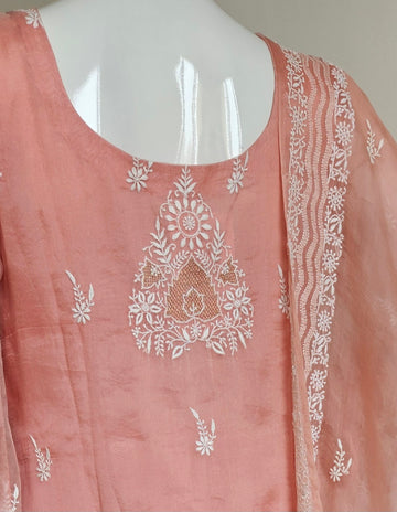 Pure Organza Ready to wear Suit
